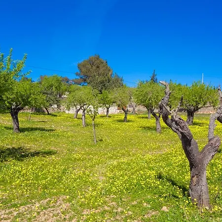 Villa Cas Rossinyol